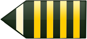 Senior Captain/Comandante Sênior