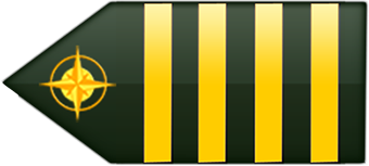 Flight Instructor/Comandante Checador